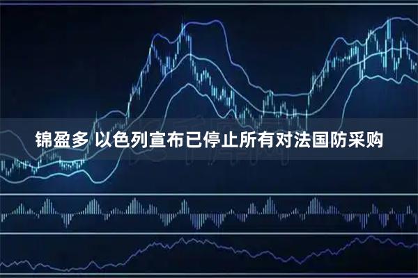 锦盈多 以色列宣布已停止所有对法国防采购