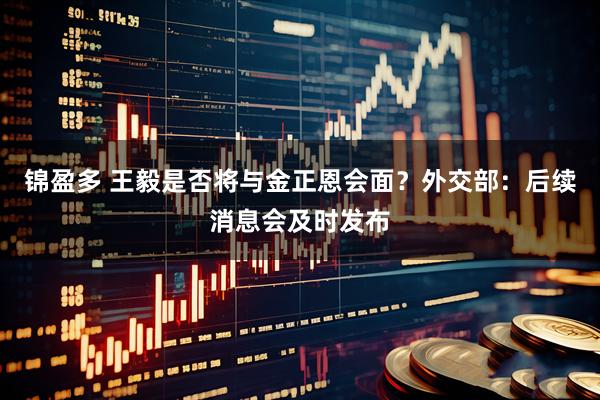 锦盈多 王毅是否将与金正恩会面？外交部：后续消息会及时发布